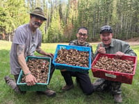 Image 7 of Mendocino Guided Mushroom Hunt