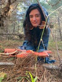 Image 13 of Mendocino Guided Mushroom Hunt