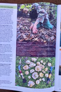 Image 16 of Mendocino Guided Mushroom Hunt