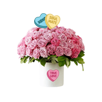 🌸˚˖𓍢ִ໋🌷͙֒✧🩷˚⋆Pink Roses 🌸˚˖𓍢ִ໋🌷͙֒✧🩷˚⋆