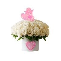 ˚˖𓍢ִ໋🌷͙֒✧˚.🎀༘⋆White Roses˚.🎀༘⋆