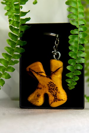 Image of K - COLECCIÓN MONTAÑA. EDICIÓN LIMITADA.