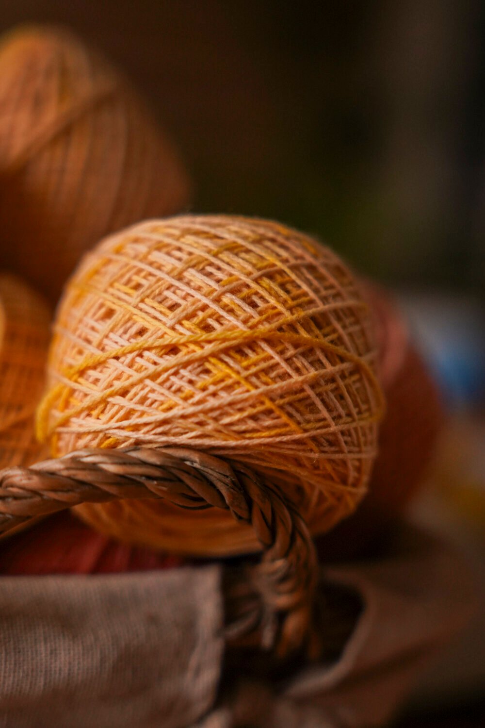 Image of Le Kit 3 mois - Coloris nuancé