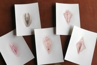 Pack Vulva