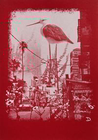 Image 2 of Dream of South TA