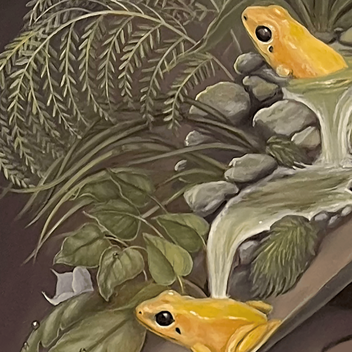 Image of ‘Hatpin – Golden Poison Frog’ by Gokcen Yuksek