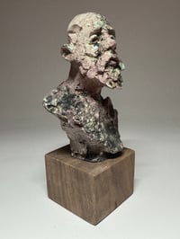 Image 3 of "Homer"