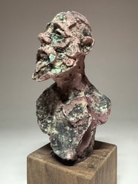 Image 2 of "Homer"