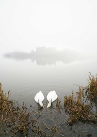 Image 2 of Soulmates in the mist exclusive print