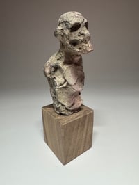 Image 2 of "Sven"