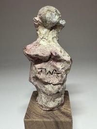 Image 3 of "Sven"