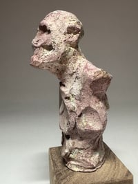 Image 5 of "Sven"