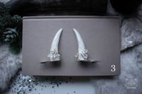 Image 9 of Icy Twigs Antler Hair Pins (a pair of two pins)