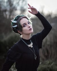 Image 2 of Icy Twigs Antler Hair Pins (a pair of two pins)