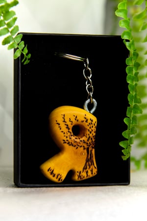 Image of R - COLECCIÓN MONTAÑA. EDICIÓN LIMITADA.