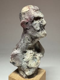 Image 1 of "Rex"
