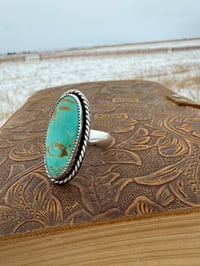 Image 7 of The Wild Mesa