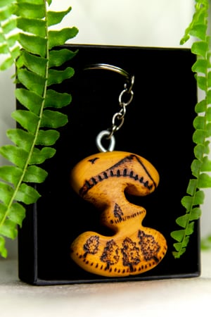 Image of Z - COLECCIÓN MONTAÑA. EDICIÓN LIMITADA.