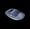 Image of Junglist OC1 - Dark Grey