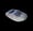 Image of Junglist OC1 - Light Grey