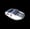Image of Junglist OC1 - White
