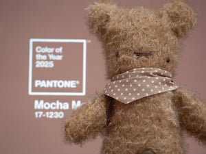 Image of Mocha