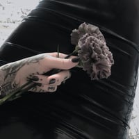 Image 2 of Imbolc Perfume (Beeswax, Rose De Mai, Tulsi, Tonka)