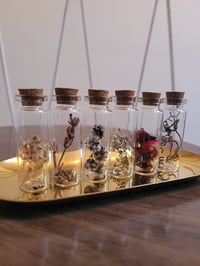 Enchanted Vials