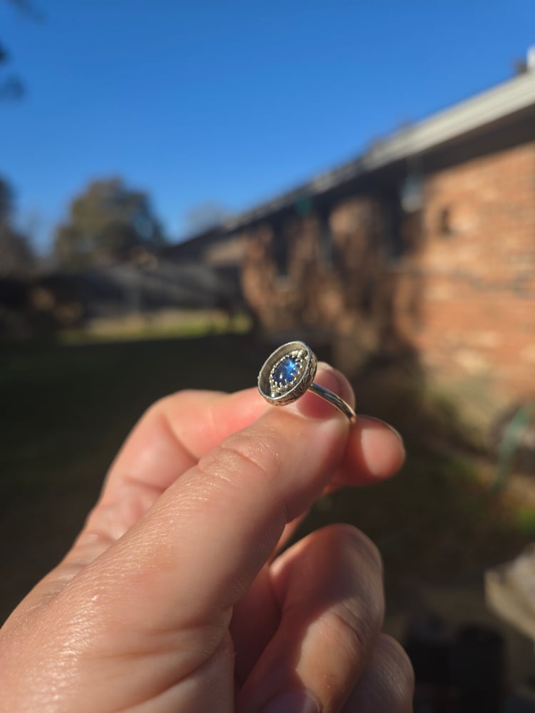 Image of Shadow Box Rings