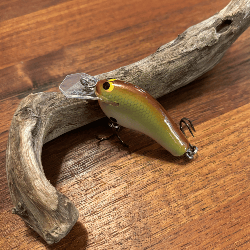 Rare! 2005 Zoom WEC Crankbaits Z-Flat Coffin Bill - Image 2