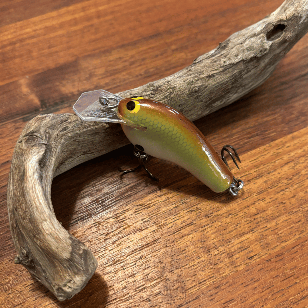 Rare! 2005 Zoom WEC Crankbaits Z-Flat Coffin Bill | Epic Eric's