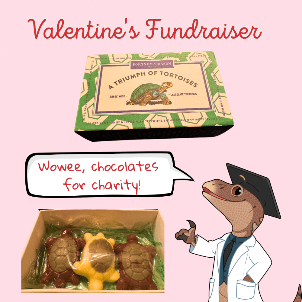 Charity Chocolates 
