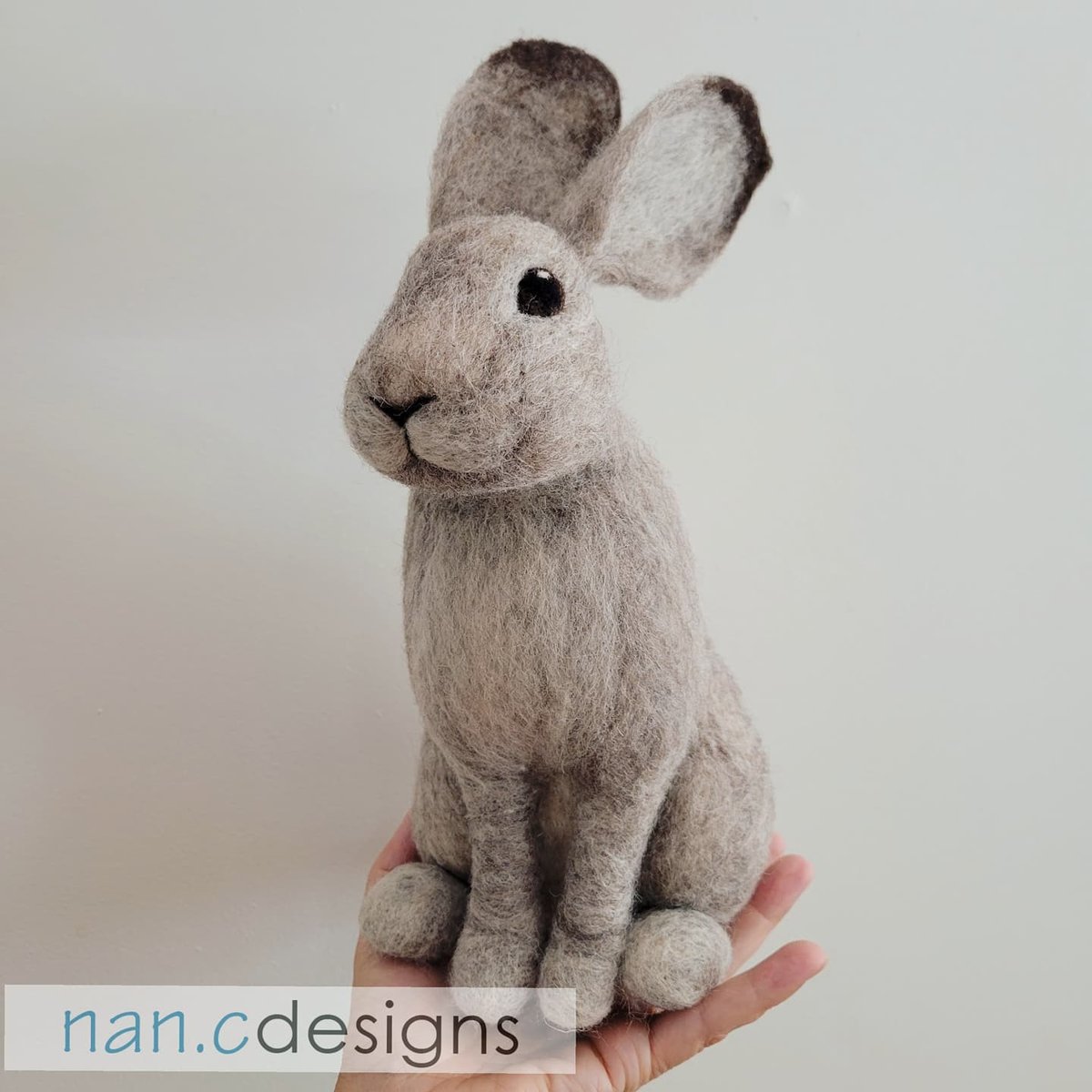 Workshop Registration - Bunny