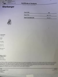 Image 2 of Lab COA 