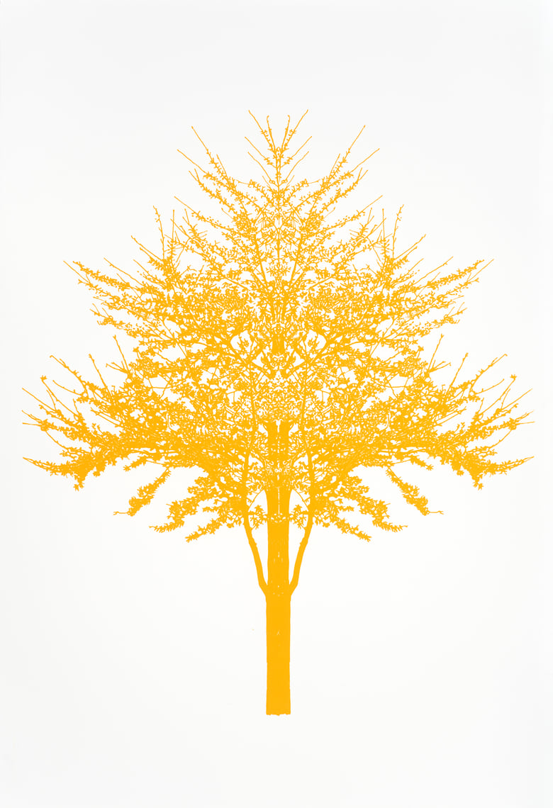 Image of Yellow Orange Baum Test