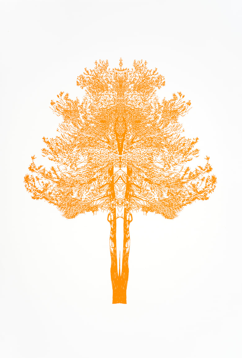 Image of Orange Baum Test