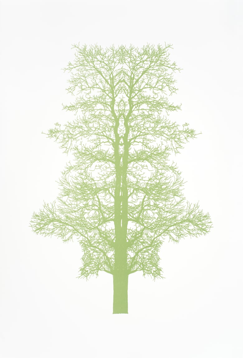 Image of Light Green Baum Test