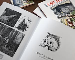 ORCHARD #2 - Zine + Tape 