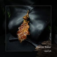 Image 9 of ☽ Quercus Robur ☾
