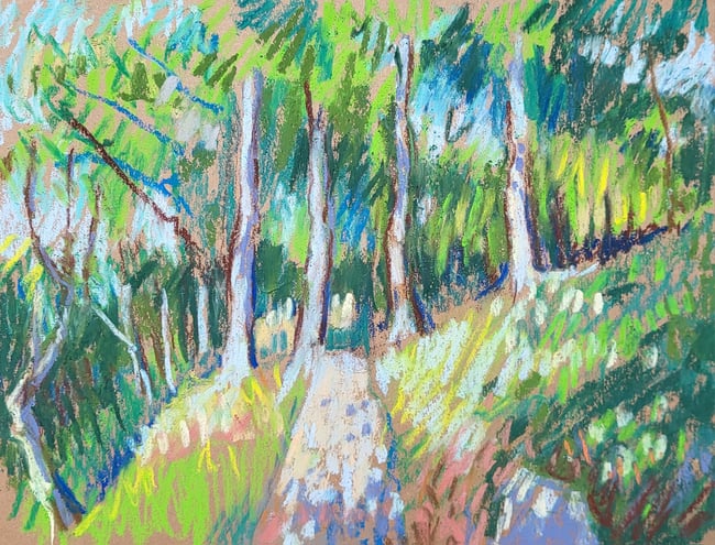 Trees up Padley Gorge 