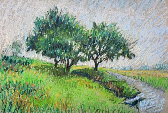 Trees at Longshaw Estate