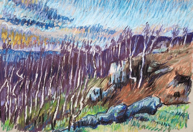 View towards Surprise View