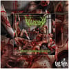 VULVECTOMY - ABUSING DISMEMBERED BEAUTIES [CD]