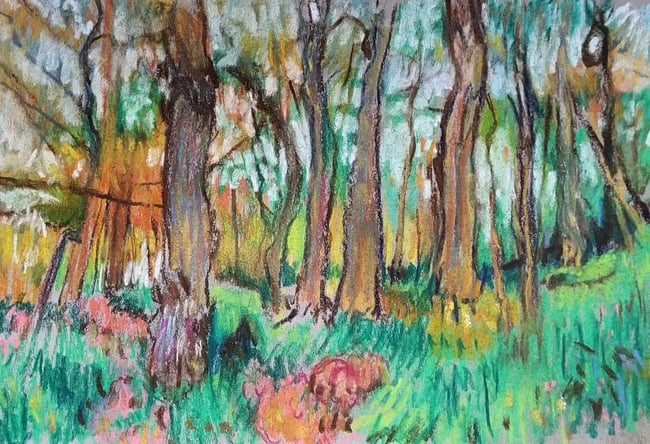 Padley Gorge Woods (Pastels)