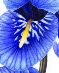 Image 3 of Petals in Blue Original Painting