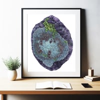 Image 3 of Ancient Ones Print