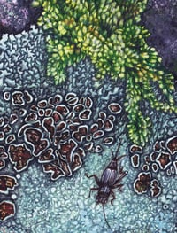 Image 2 of Ancient Ones Print