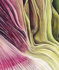 Image 2 of Layers of Colour Print