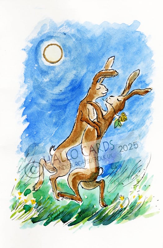 Image of March Hare Tango - HL145