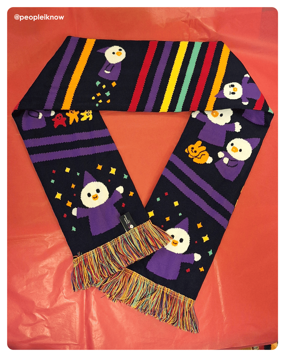 Duck Wizard scarf (double-sided)